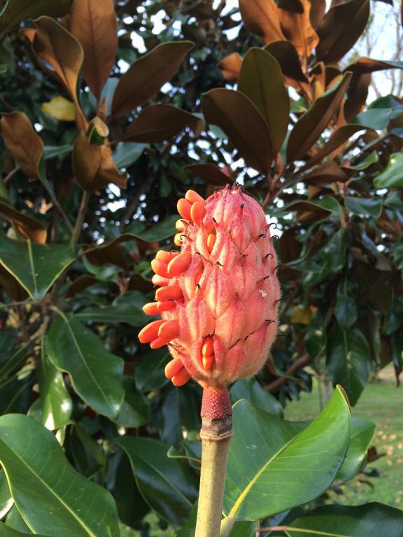 Ohuka Lodge Tuai ภายนอก รูปภาพ