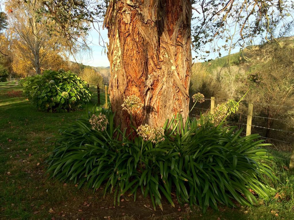 Ohuka Lodge Tuai ภายนอก รูปภาพ