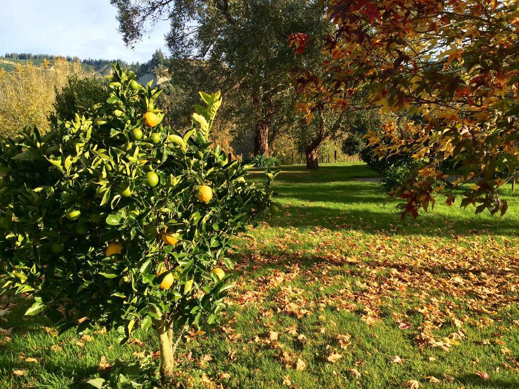 Ohuka Lodge Tuai ภายนอก รูปภาพ