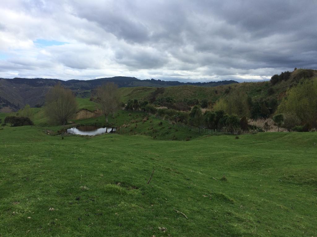 Ohuka Lodge Tuai ภายนอก รูปภาพ