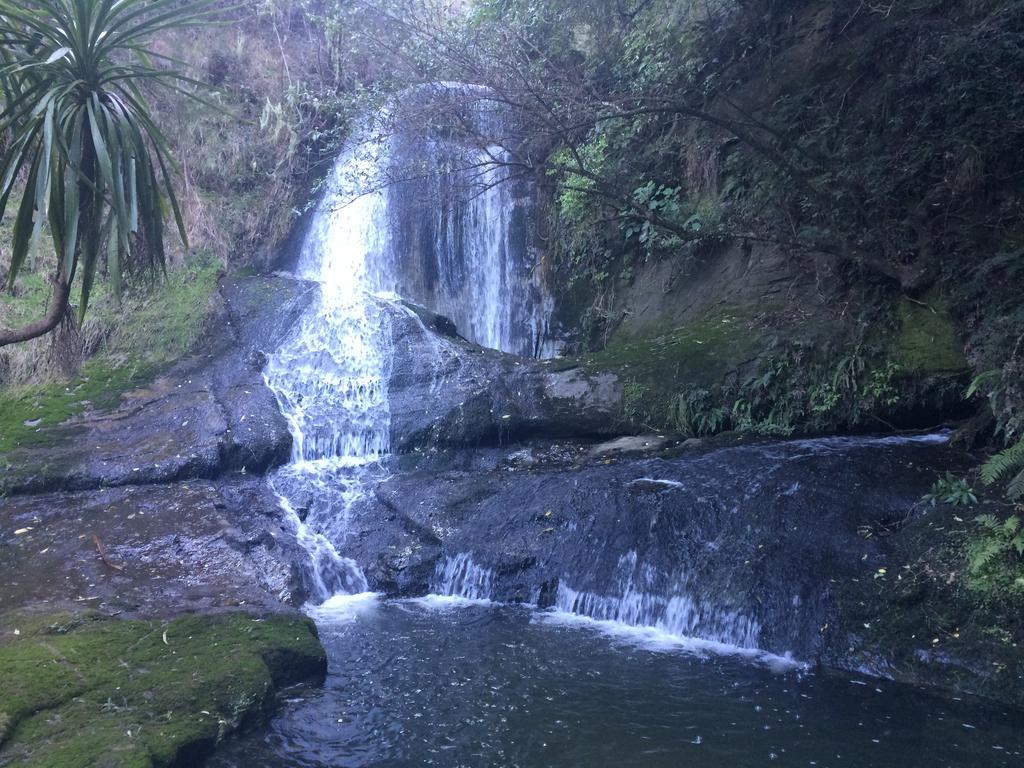 Ohuka Lodge Tuai ภายนอก รูปภาพ