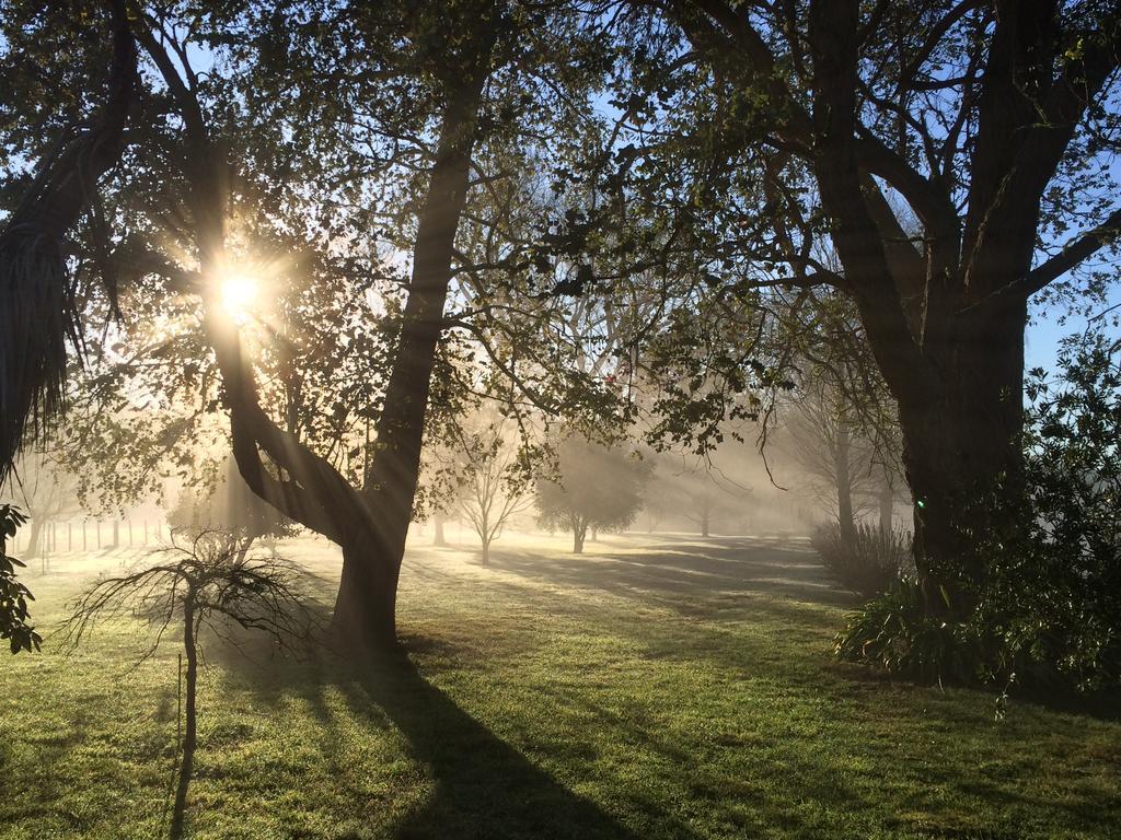 Ohuka Lodge Tuai ภายนอก รูปภาพ