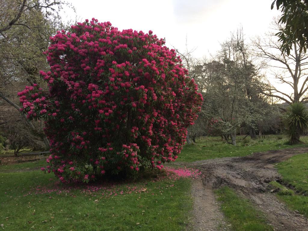 Ohuka Lodge Tuai ภายนอก รูปภาพ