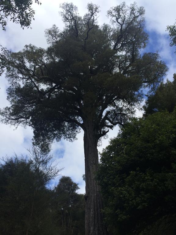Ohuka Lodge Tuai ภายนอก รูปภาพ